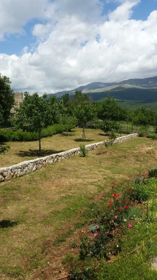 Villa Cetina Milasi Extérieur photo